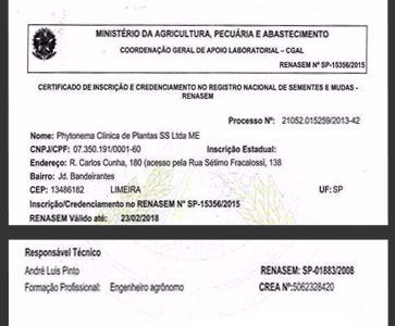 certificado